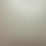 Cool Metallic Champagne Color