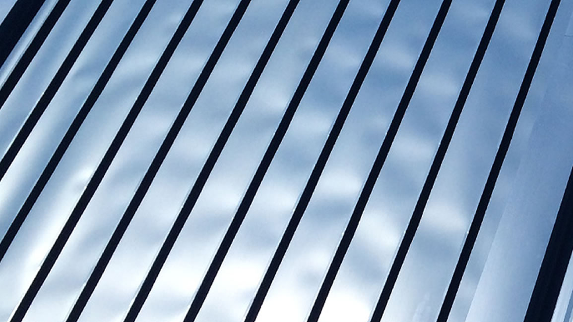 Oil Canning on Roofing